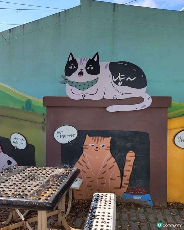 釜山甘川文化村～貓奴打卡