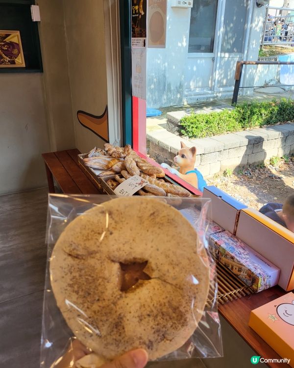 釜山甘川文化村～貓奴打卡