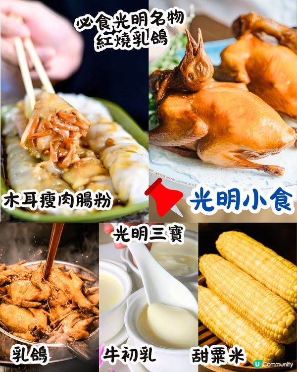 深圳打卡光明新區📸必食紅燒乳鴿/黃鐘木林/草莓園💛7大打卡位‼️