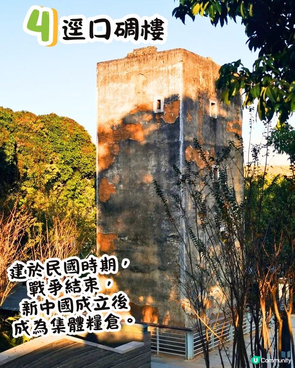 深圳打卡光明新區📸必食紅燒乳鴿/黃鐘木林/草莓園💛7大打卡位‼️