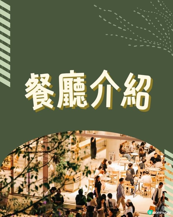深圳南山區新商場開幕❗2萬呎二手名牌店+深圳人氣打卡Cafe+抵食東北菜🤩