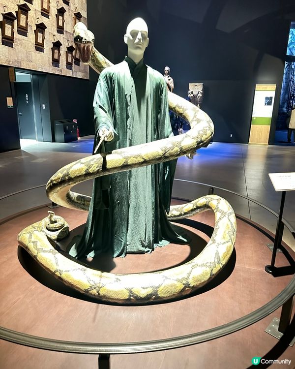 ## 東京哈利波特影城🎄魔法聖誕之旅！