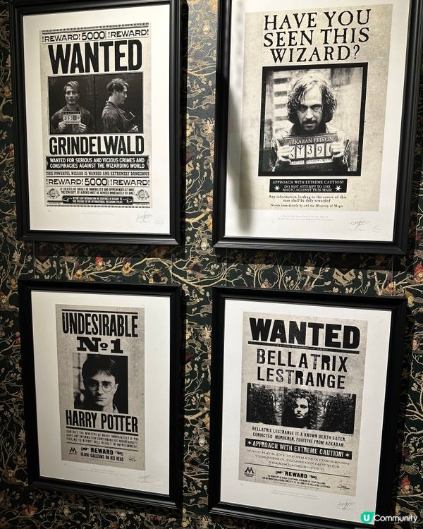 ## 東京哈利波特影城🎄魔法聖誕之旅！