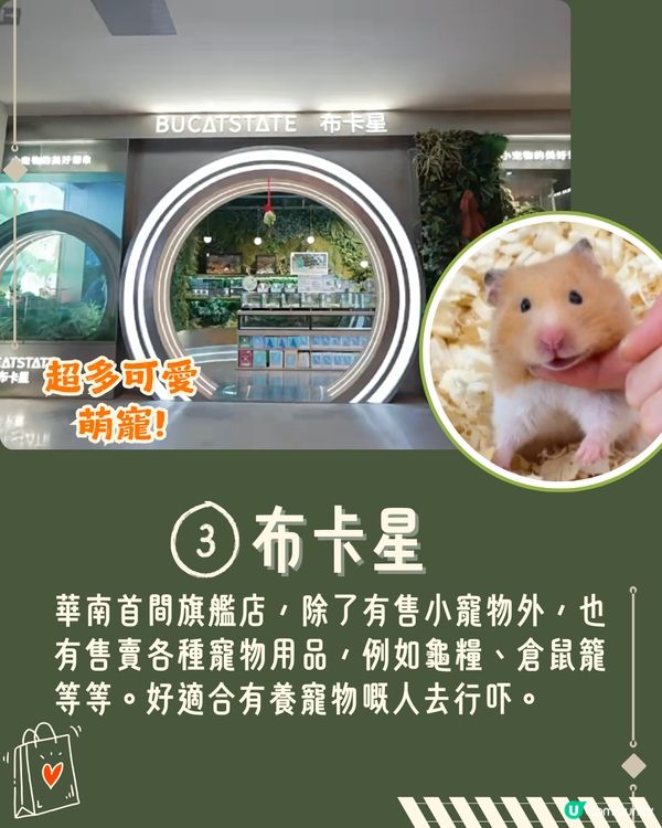 深圳南山區新商場開幕❗2萬呎二手名牌店+深圳人氣打卡Cafe+抵食東北菜🤩