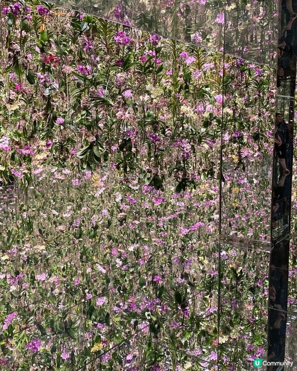 🎌東京 Team Lab Planet 🟡▫️🩵🟩🔹🛑🔸💜