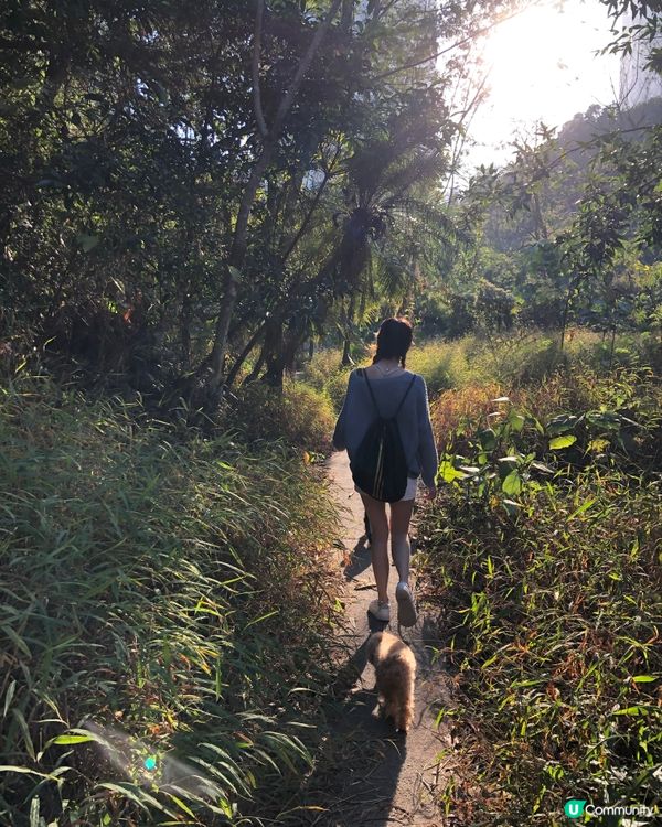 將軍澳隱景放狗好去處🐶