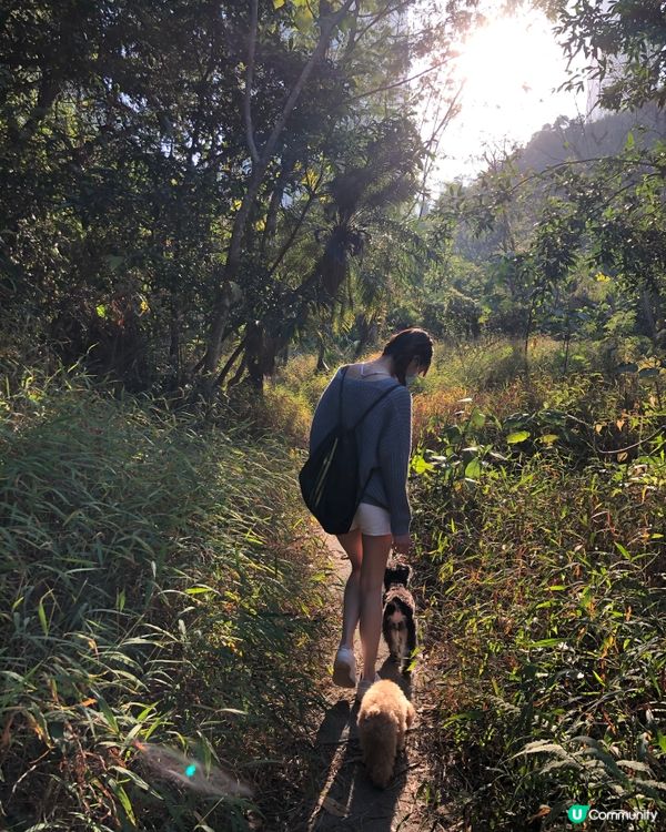 將軍澳隱景放狗好去處🐶