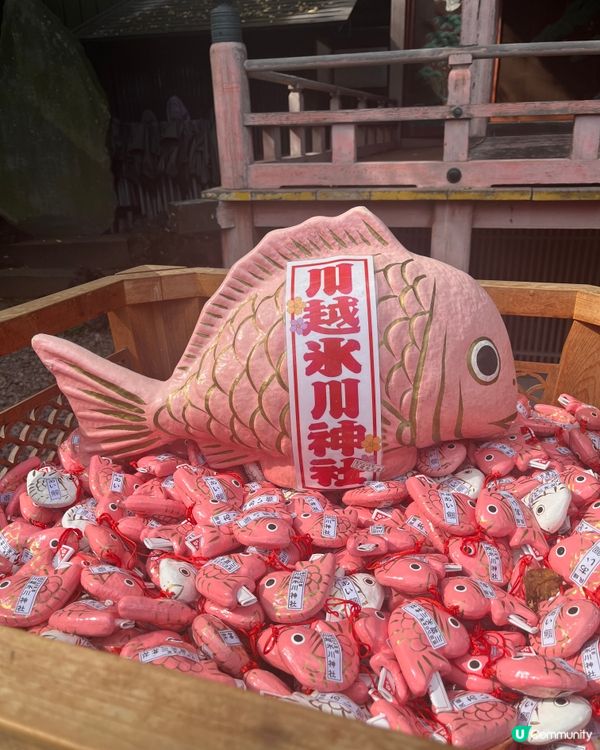 ## 川越一日遊，小江戶風情等你體驗！🏯✨