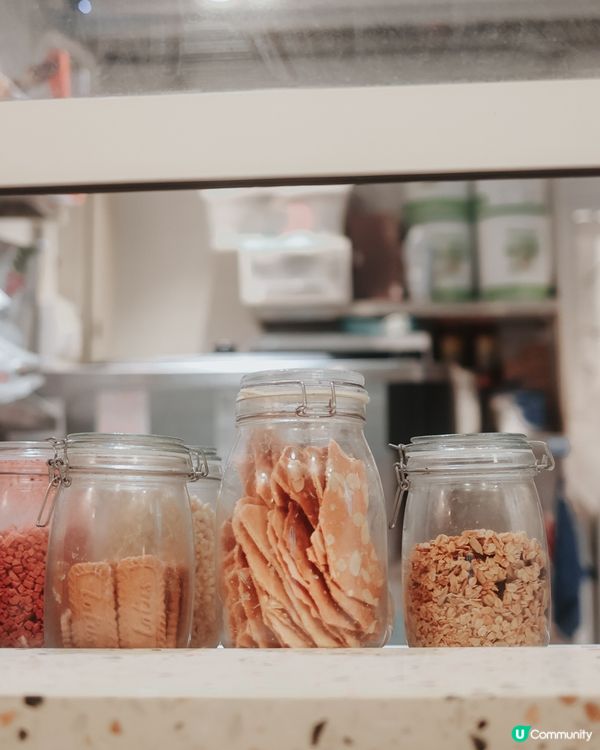 / 𝒇𝒓𝒐𝒛𝒆𝒏界寵兒 /