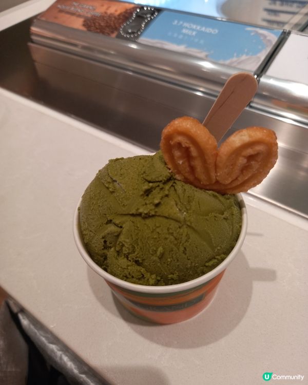 20-11-2024 The Grand