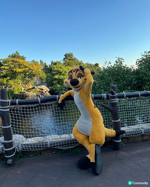 東京迪士尼海洋公園見到丁滿😍