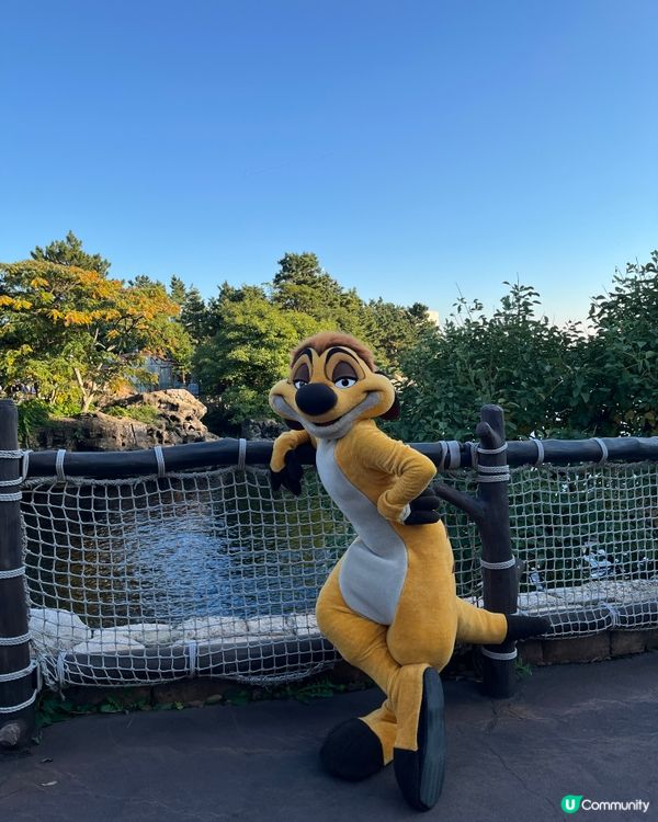 東京迪士尼海洋公園見到丁滿😍