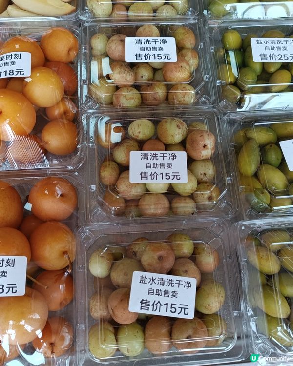  惠州美食之旅😋  食到停唔到！