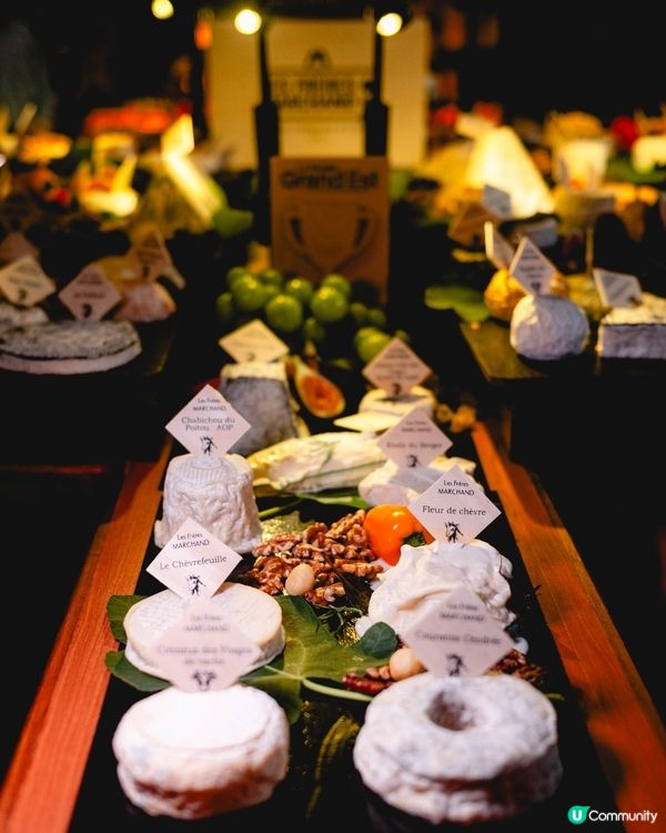 250款芝士！有邊款你食過？🤤