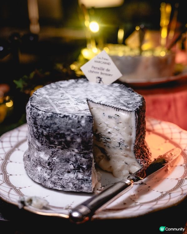 250款芝士！有邊款你食過？🤤