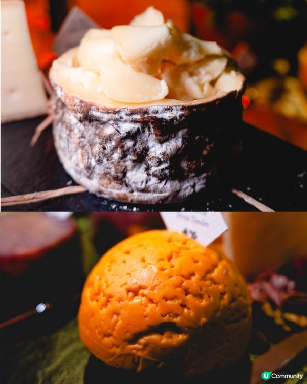 250款芝士！有邊款你食過？🤤