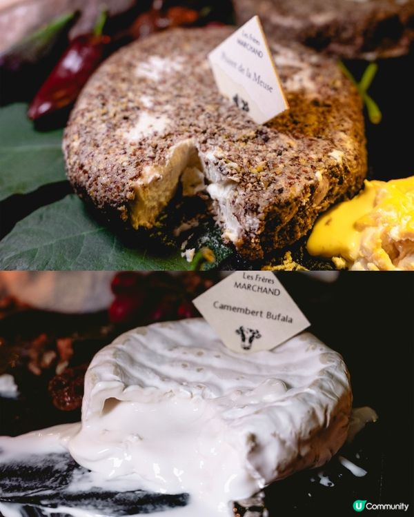 250款芝士！有邊款你食過？🤤