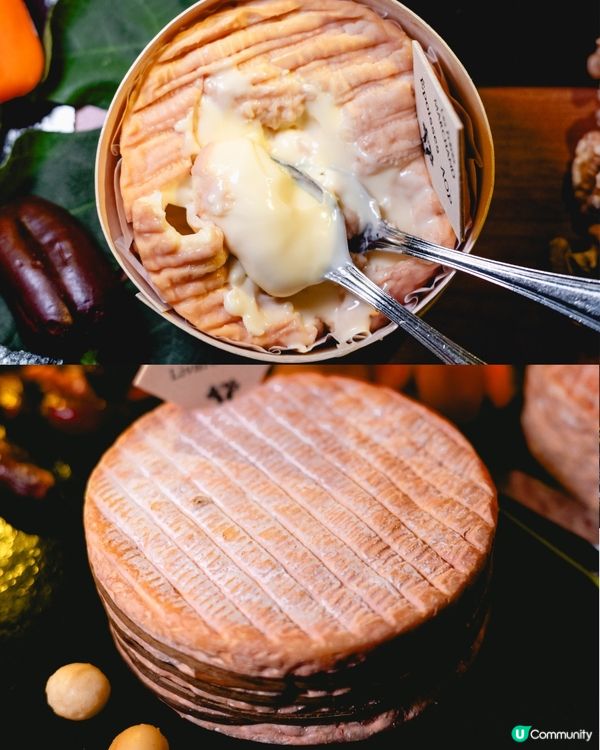 250款芝士！有邊款你食過？🤤