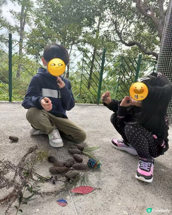 大爱秋天的南丫島🏝️     