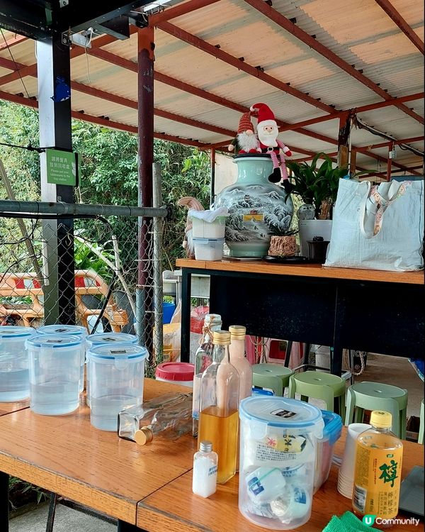 西貢海藝術節開鑼啦 🎉