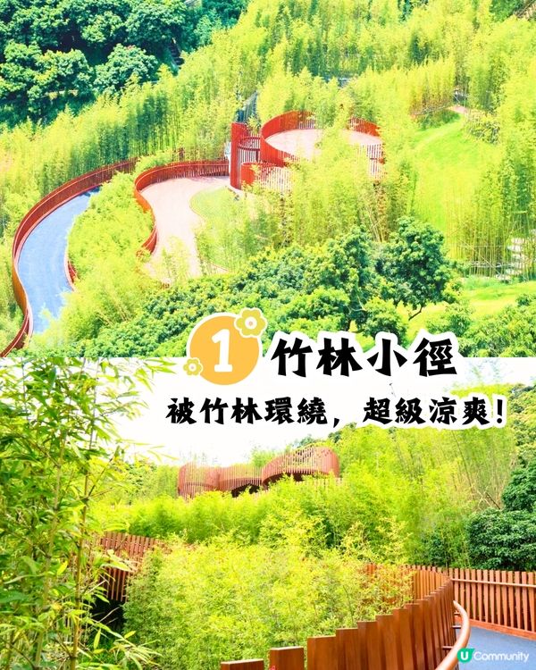 深圳天空之鏡公園6大打卡位☁️竹林小徑/360度山頂觀景台