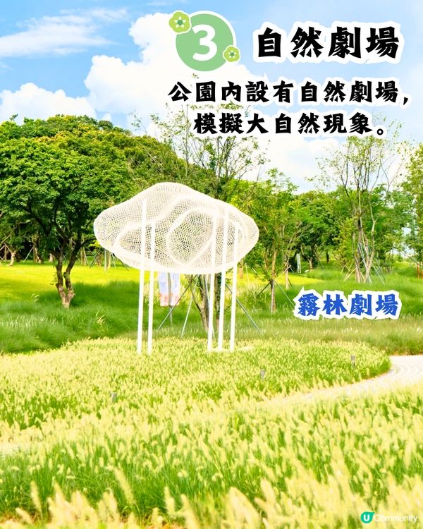 深圳天空之鏡公園6大打卡位☁️竹林小徑/360度山頂觀景台