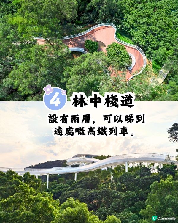 深圳天空之鏡公園6大打卡位☁️竹林小徑/360度山頂觀景台