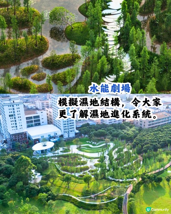 深圳天空之鏡公園6大打卡位☁️竹林小徑/360度山頂觀景台