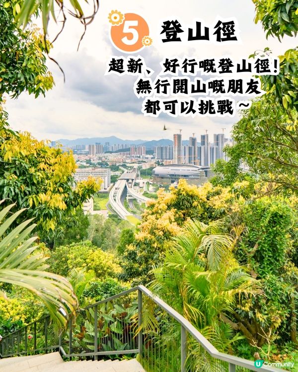 深圳天空之鏡公園6大打卡位☁️竹林小徑/360度山頂觀景台