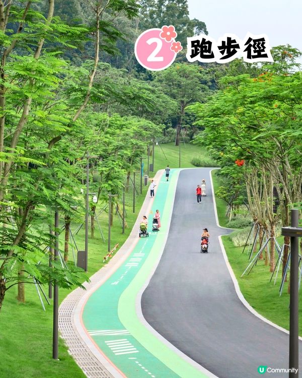 深圳天空之鏡公園6大打卡位☁️竹林小徑/360度山頂觀景台