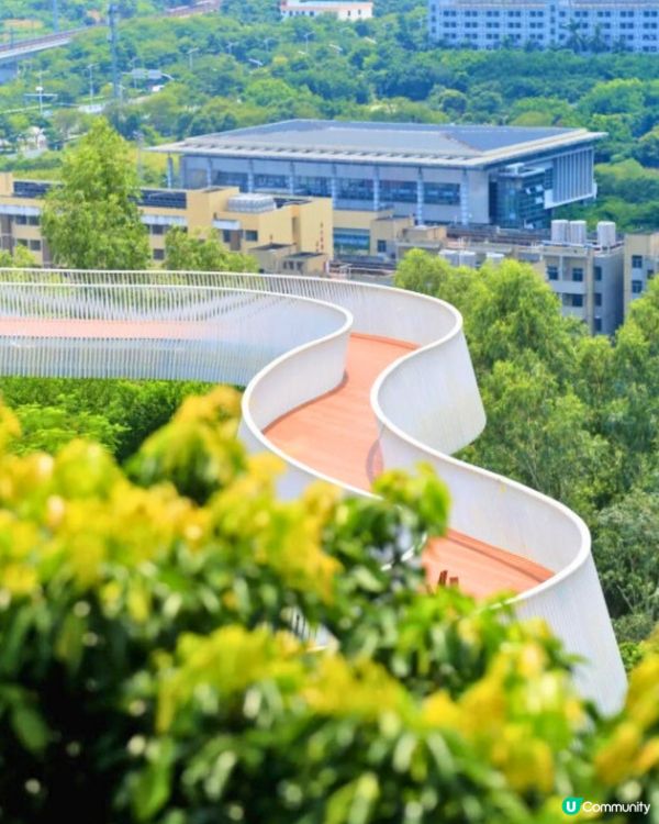 深圳天空之鏡公園6大打卡位☁️竹林小徑/360度山頂觀景台