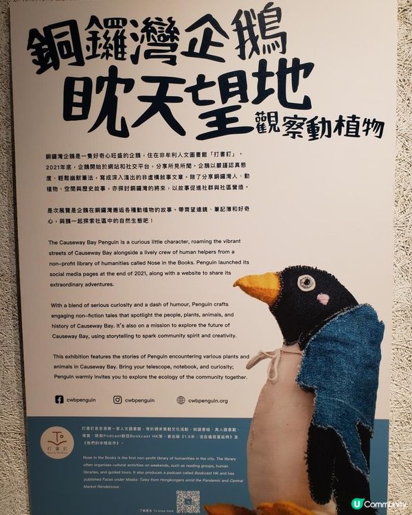《銅鑼灣企鵝登陸無印良品展覽室 🐧》