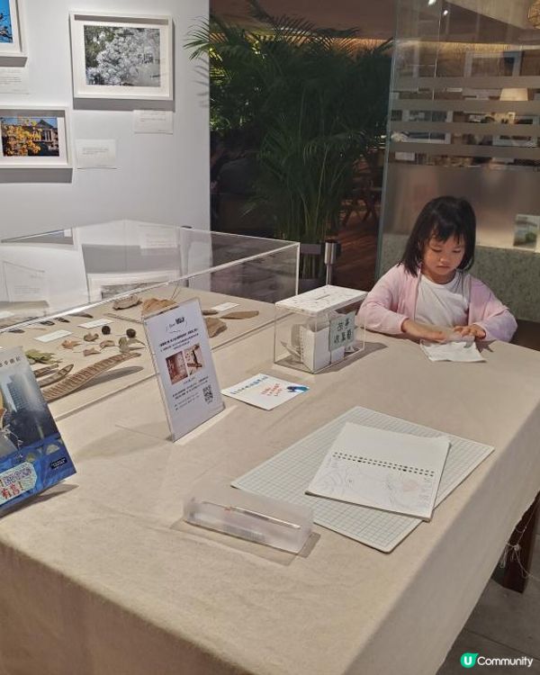 《銅鑼灣企鵝登陸無印良品展覽室 🐧》