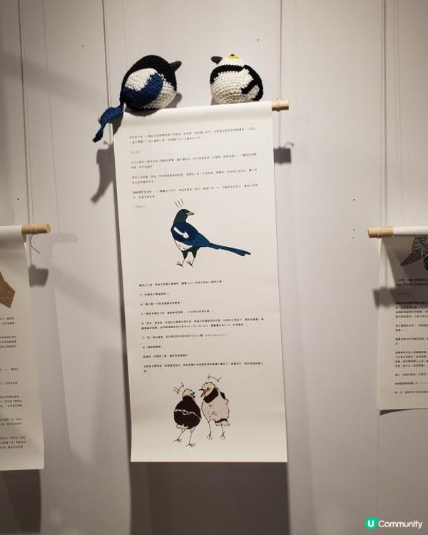《銅鑼灣企鵝登陸無印良品展覽室 🐧》