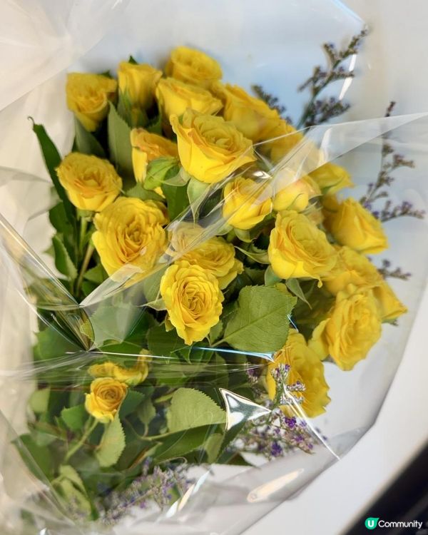 😍😍黃玫瑰😍😍