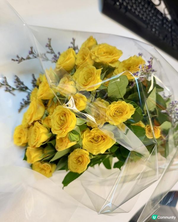 😍😍黃玫瑰😍😍