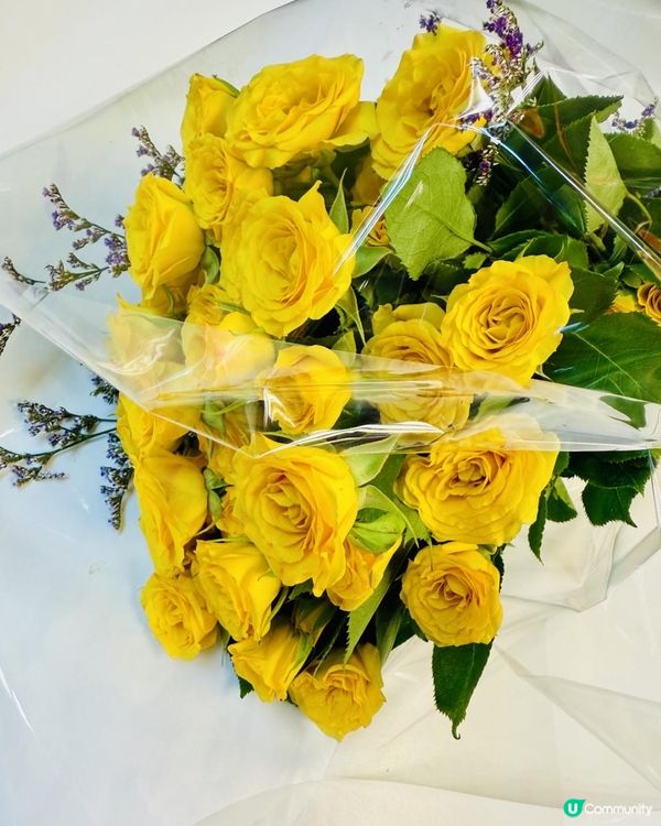 😍😍黃玫瑰😍😍