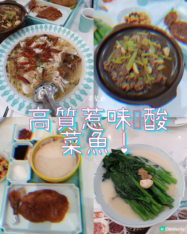 深圳高質惹味嘅酸菜魚！