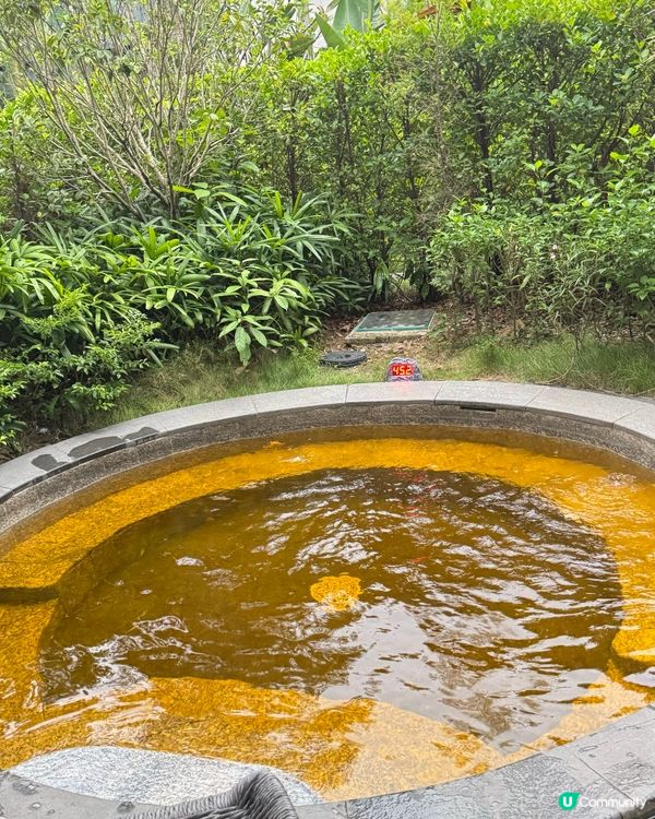 ✨✨廣州合匯溫泉酒店✨✨之溫泉篇