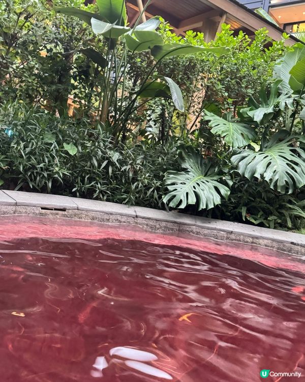 ✨✨廣州合匯溫泉酒店✨✨之溫泉篇