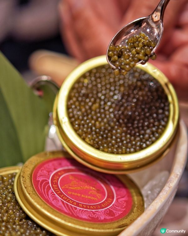 ## 旺角新世紀廣場殿大喜屋放題🍣  抵到爛！魚子醬任食🤩