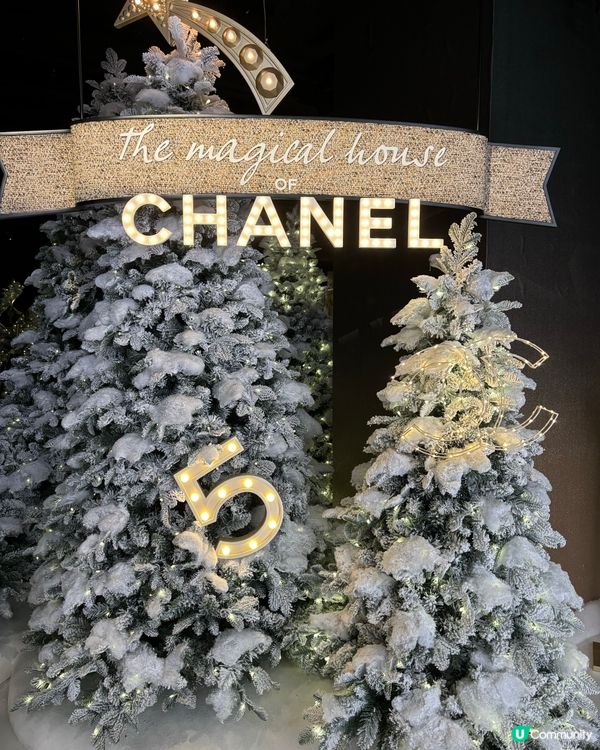 Chanel 聖誕樹🎄