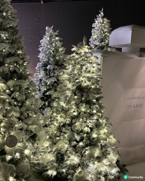 Chanel 聖誕樹🎄
