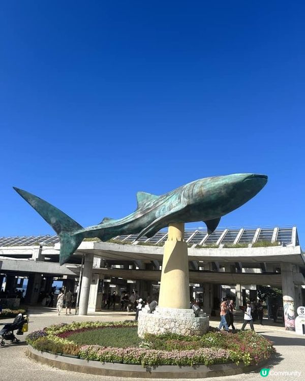 【 沖繩北部一日遊 | 景點豐富吸引全包門券 】