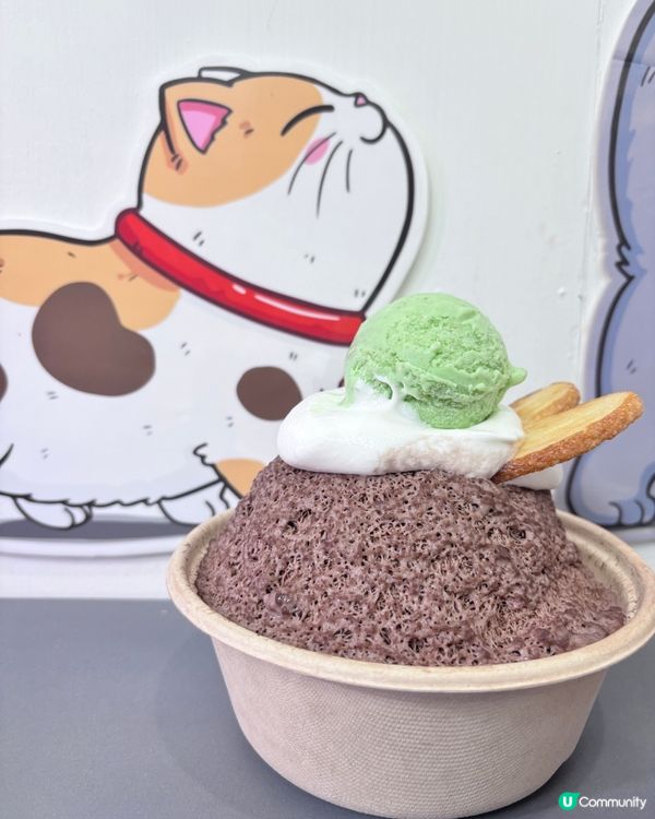 貓都鍾意既開心果雪糕朱古力綿綿冰🍧