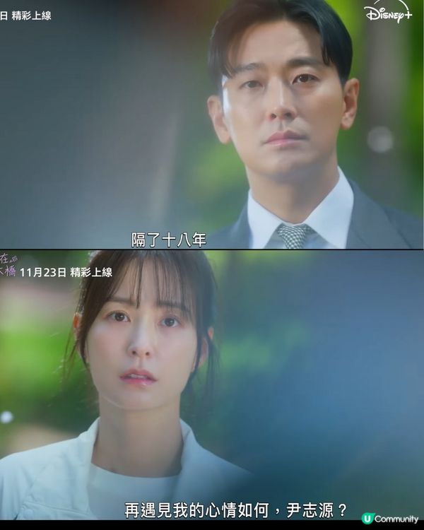 愛在獨木橋Disney+獨家上線！朱智勛鄭裕美首度合演愛情劇