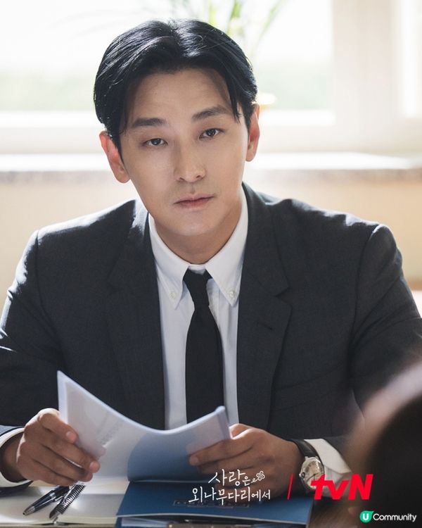 愛在獨木橋Disney+獨家上線！朱智勛鄭裕美首度合演愛情劇