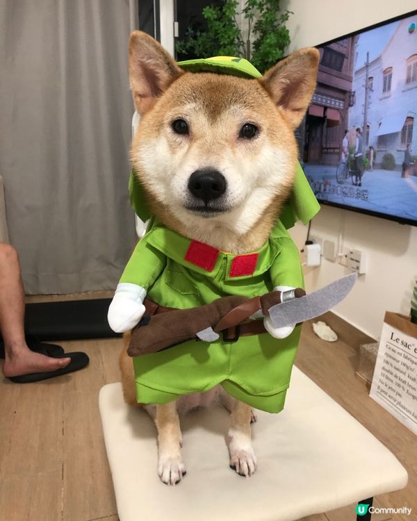 📎 又係時候擺相出嚟比大家恥笑吓