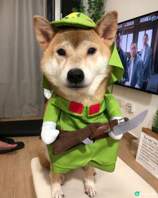 📎 又係時候擺相出嚟比大家恥笑吓