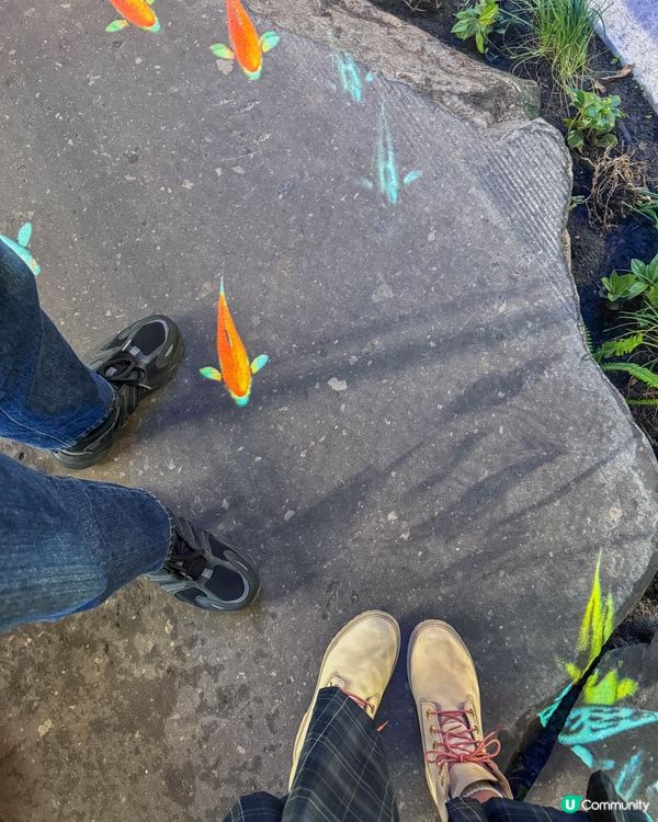 熊本市中心的購物好地方